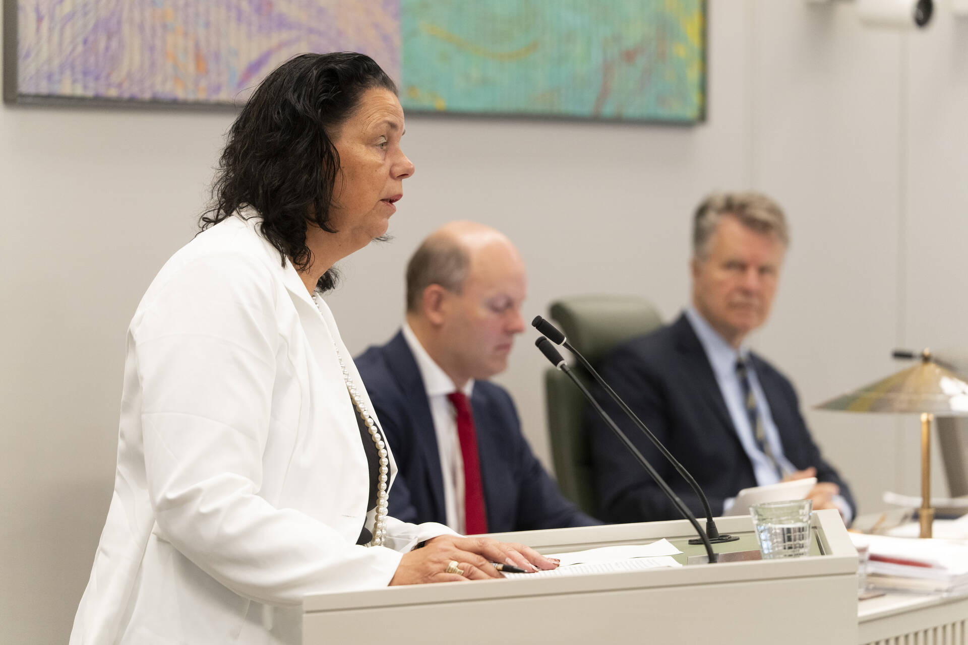 Senator Van Langen-Visbeek (BBB)
